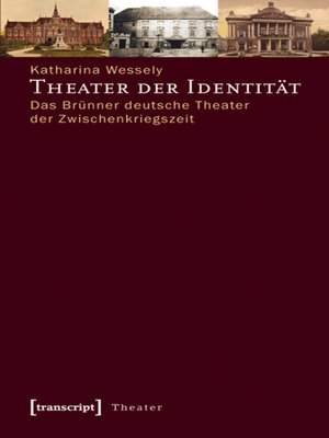 cover image of Theater der Identität